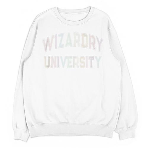 Crazy Antisocial WIZARDRY UNIVERSITY Introvert Don't Call Me Unisex Sweatshirt - Raresse