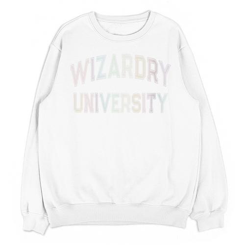 Crazy Antisocial WIZARDRY UNIVERSITY Introvert Don't Call Me Unisex Sweatshirt - Raresse
