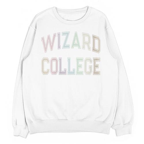Crazy Sarcastic WIZARD COLLEGE Introvert Anti Social Academy Unisex Sweatshirt - Raresse