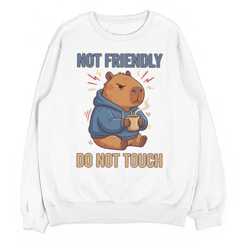 Grouchy Capybara Not Friendly Do Not Touch Introvert Premium Tri-Blend Unisex Sweatshirt - Raresse