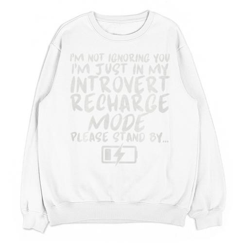 I'm Not Ignoring You I'm Just In My Introvert Recharge Mode Premium Tri-Blend Unisex Sweatshirt - Raresse