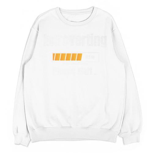 Introverting Please Wait Humor Sarcastic Geek Gamer Jokes Premium Unisex Sweatshirt - Raresse