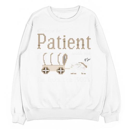 Please Be Patient With Me I'm From The 1900s Retro Gamer Premium Unisex Sweatshirt - Figerry