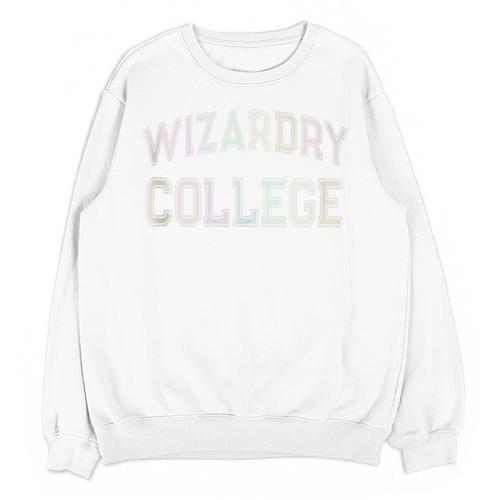 Retro Antisocial WIZARDRY COLLEGE Introvert Sarcastic Unisex Sweatshirt - Raresse