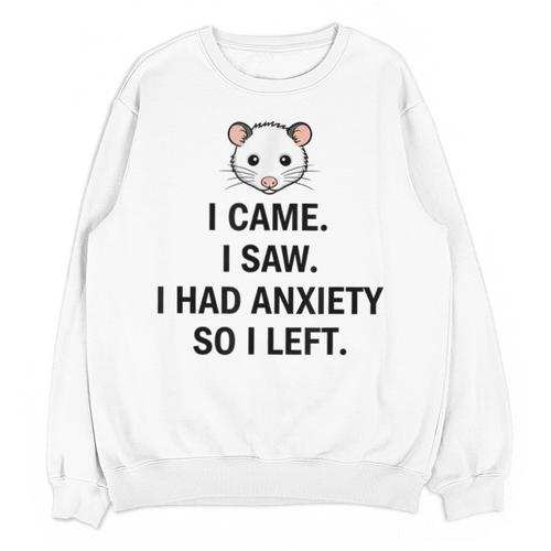 I Came I Saw I Had Anxiety So I Left Introvert Tee Unisex Sweatshirt - Raresse