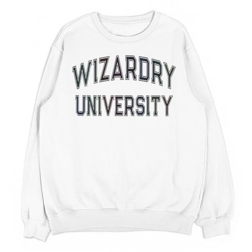 Silly Don'T Call Me WIZARDRY UNIVERSITY Introvert Sarcastic Unisex Sweatshirt - Raresse