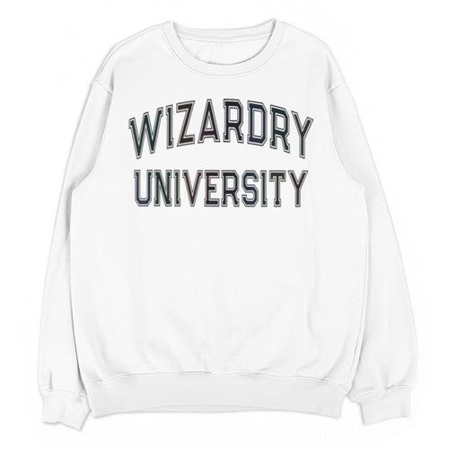 Silly Don'T Call Me WIZARDRY UNIVERSITY Introvert Sarcastic Unisex Sweatshirt - Raresse