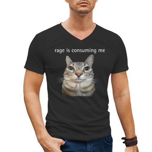 Rage Is Consuming Me Silly Staring Cat Meme Dad Mom Men's V-Neck T-Shirt - Father's Day Fun