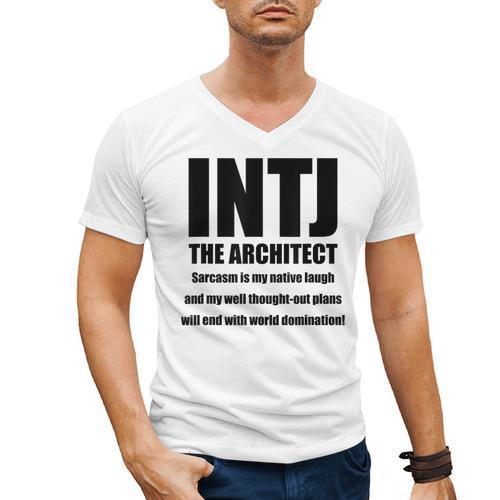 INTJ Architect Personality Introvert Sarcastic Men's V-Neck T-Shirt - Raresse