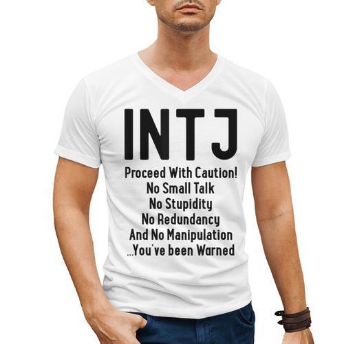 INTJ Rules Architect Personality Type Introvert Men's V-Neck T-Shirt - Raresse