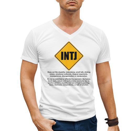 INTJ Warnings Architect Personality Type Introvert Men's V-Neck T-Shirt - Raresse