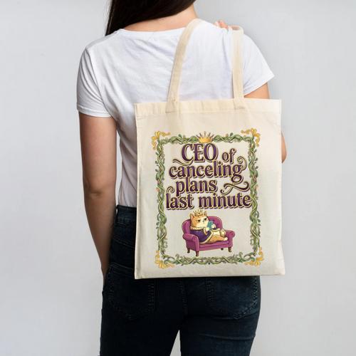 CEO Of Canceling Plans Flake Introvert Friend Premium Tri-Blend Canvas Tote Bag - Raresse