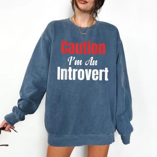 Caution I'm An Introvert Sarcastic Geek Video Gamer Jokes Comfort Colors Sweatshirt - Raresse