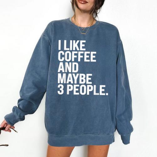 I Like Coffee Introvert Coffee Lovers Sarcastic Humor Comfort Colors Sweatshirt - Raresse