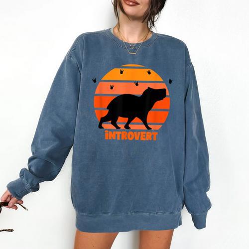 Introvert Retro Sunset Capybara Tee Comfort Colors Sweatshirt - Raresse