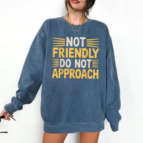 Not Friendly Do Not Approach Introvert Antisocial Comfort Colors Sweatshirt - Raresse