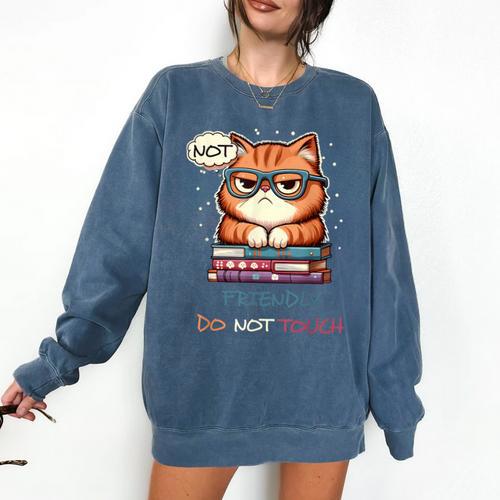 Sarcastic Loner Introvert Not a Friendly Do Not Touchs Comfort Colors Sweatshirt - Raresse