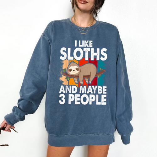 Sloth For Sloth Lover Men Women Kids Introvert Comfort Colors Sweatshirt - Raresse