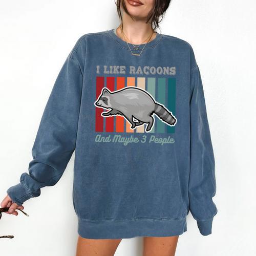 Introvert Raccoon Animal Lover Trash Panda Antisocial Retro Comfort Colors Sweatshirt - Raresse