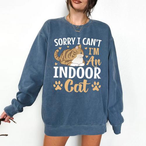 Kitty Pet Lover Introvert Person Cats Show Family Member Comfort Colors Sweatshirt - Raresse