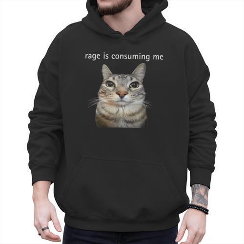 Rage Is Consuming Me Silly Staring Cat Meme Dad Mom Men Hoodie - Father's Day Fun