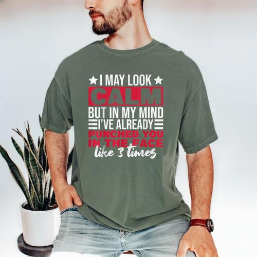 Introverts I May Look Calm But In My Head Men's Comfort Colors T-Shirt - Raresse