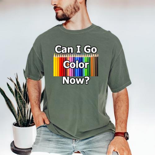 Adult Coloring Book Can I Go Color Now Women Men Adults Premium Tri-Blend Men's Comfort Colors T-Shirt - Bookorys AU