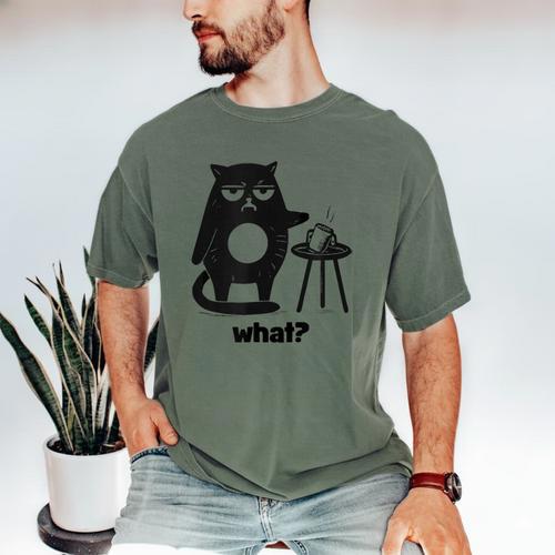 Cat What Humor Introvert Anti-Social Men's Comfort Colors T-Shirt - Raresse