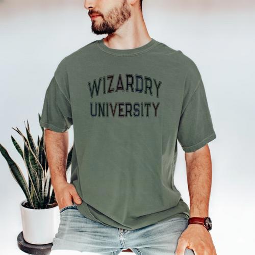 Vintage Don'T Call Me WIZARDRY UNIVERSITY Introvert Men's Comfort Colors T-Shirt - Raresse
