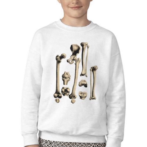 Hip And Leg Bones Book Print Vintage Human Bones Youth Crewneck Sweatshirt - Bookorys CA
