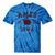Ames Iowa Est 1864 Nostalgia Premium Tri-Blend Tie-Dye T-Shirts Blue Tie-Dye