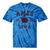 Ames Iowa Est 1864 Nostalgia Tie-Dye T-Shirts Blue Tie-Dye