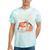 1960s 60s Reunion Nostalgia Memories Music School Grew Up Premium Tri-Blend Tie-Dye T-Shirts Mint Tie-Dye