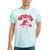 Enchanted Mesa Plateau Nostalgia Tie-Dye T-Shirts Mint Tie-Dye