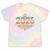 Retro Vintage Style 2026 Nostalgia Sunset Family Reunion Tie-Dye T-Shirts Hazy Rainbow Tie-Dye