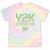 Y2K Survivor 2000s Nostalgia Retro Vintage Nostalgic Tie-Dye T-Shirts Hazy Rainbow Tie-Dye