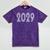 2029 Year Graduation Class Of Photo Shirt Retro Disco Mineral Wash Tshirts Mineral Purple