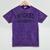 Antisocial WICKED UNIVERSITY Introvert Don't Call Me U Mineral Wash Tshirts Mineral Purple