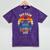 Bar Exam Level Complete 2025 Lawyer Law School Graduation Mineral Wash Tshirts Mineral Purple