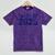Class Of 2025 Grow With Me Future Graduation Year Mineral Wash Tshirts Mineral Purple