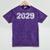 Class Of 2029 Shirt Graduation Vintage Him Her Senior 2029 Mineral Wash Tshirts Mineral Purple