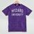 Don'T Call Me WIZARD UNIVERSITY Introvert Sarcastic Mineral Wash Tshirts Mineral Purple