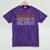 Mastered It 2020 Masters Degree Graduation For Him Her Mineral Wash Tshirts Mineral Purple