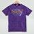 Mastered It Masters Degree College Graduation Party T Shirt Mineral Wash Tshirts Mineral Purple