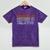 Mastered It Masters Degree Graduation Shirt For Him Her Mineral Wash Tshirts Mineral Purple