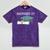 Masters Degree Graduation 2021 Social Work MPH MSW Grad Mineral Wash Tshirts Mineral Purple