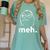 Meh Shirt Teacher Idea College Geek Graduation Tshirt Women's Comfort Colors T-Shirt Chalky Mint