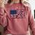 America US Flag Books Library Reading For Book Lover Reader Comfort Colors Sweatshirt Orchid