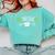 Finished PhD PhInished 2018 Graduation Shirt Comfort Colors Sweatshirt Chalky Mint