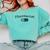 Pharmacy Student TShirt Pharmacist Graduation Est 2021 Comfort Colors Sweatshirt Chalky Mint